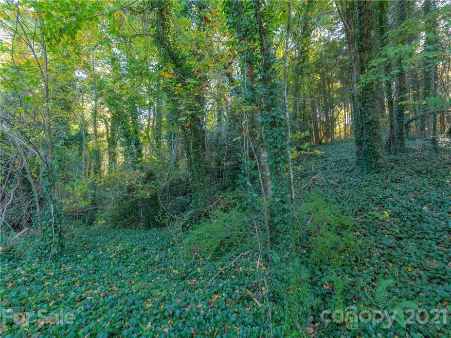 651 Starnes Cove Rd, Asheville, NC 28806 - photo 1