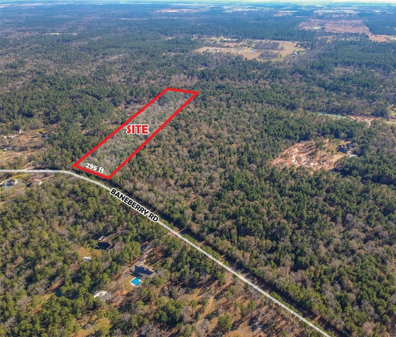 00 Baneberry Rd, Magnolia, TX 77355 - photo 1