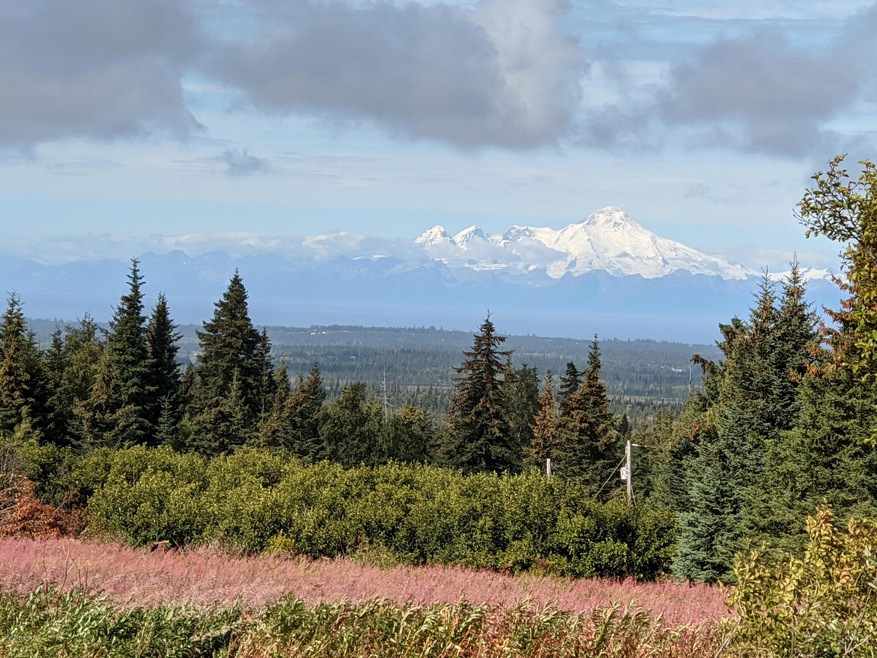 000 Clyde Thomas Ave, Anchor Point, AK 99556 - photo 1