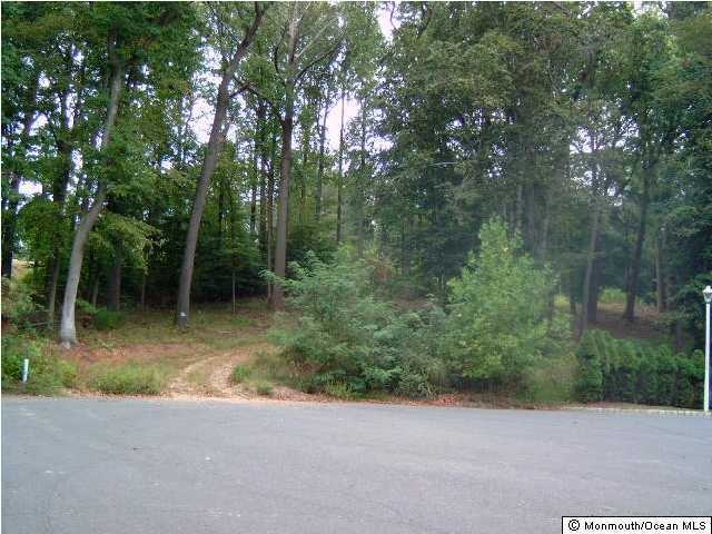 108 Haven Way, Marlboro, NJ 07751 - photo 1