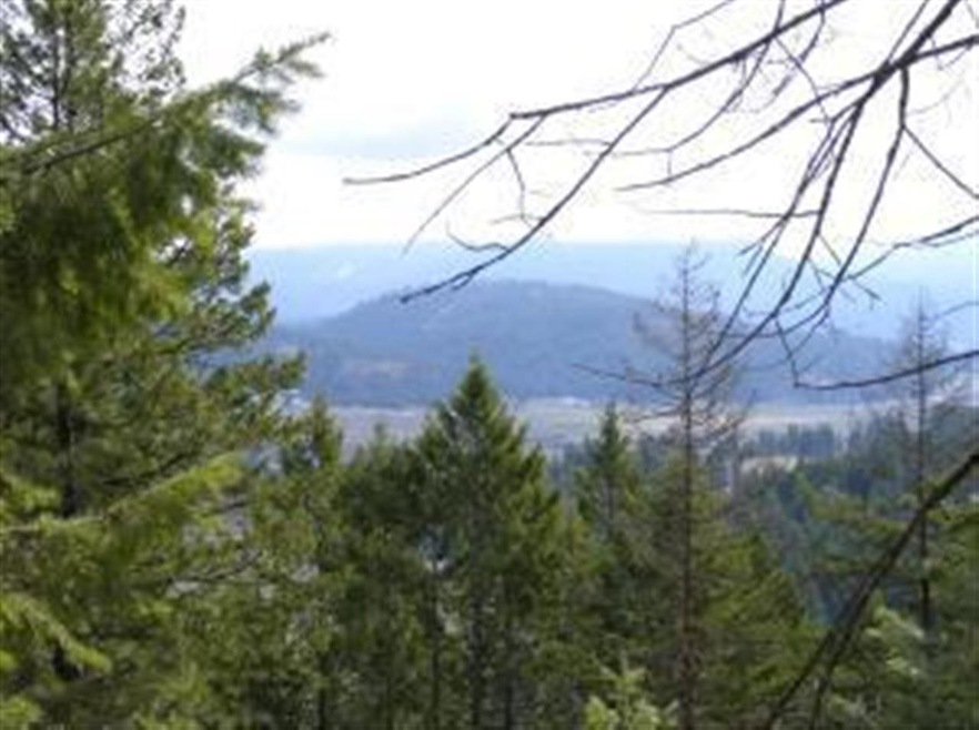 1812 Dry Creek Rd, Chewelah, WA 99109 - photo 1