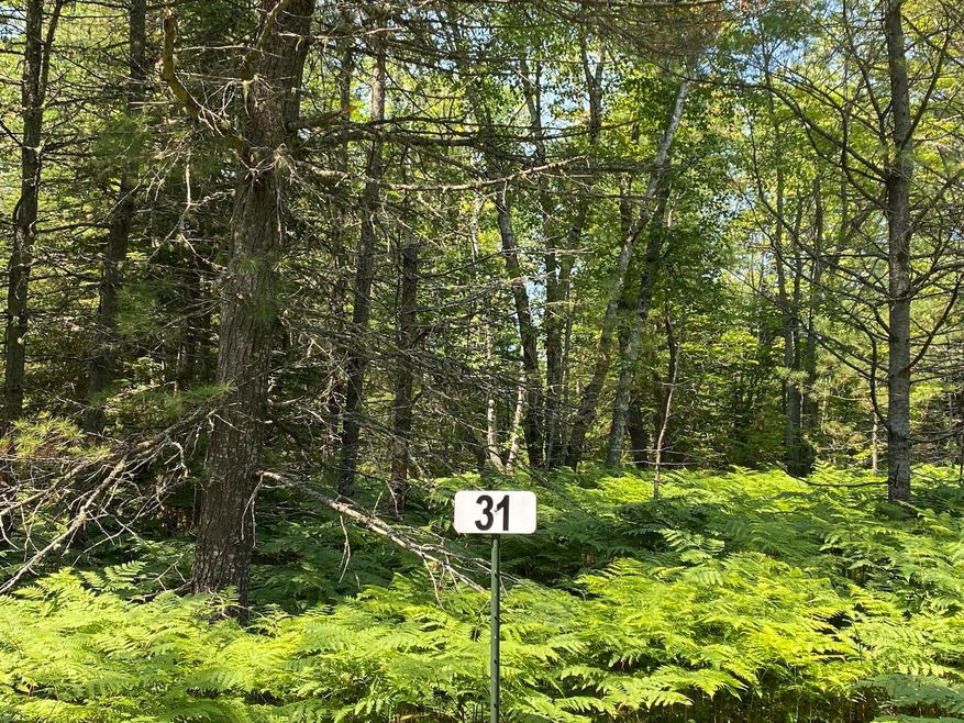 Third Creek Subdivision Lot 31