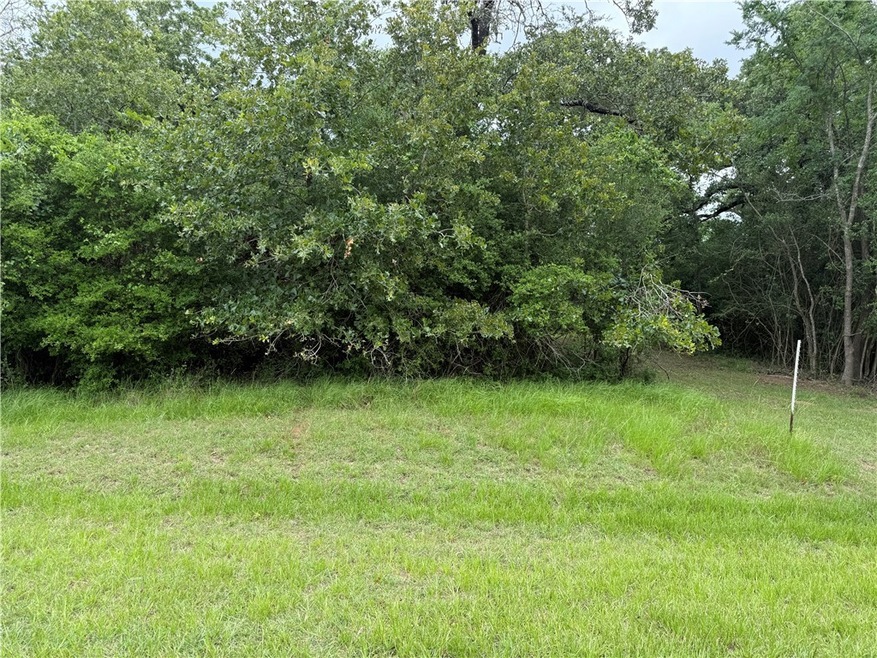 View of woods