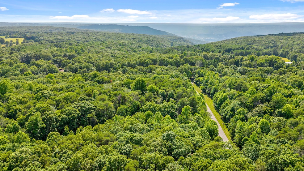 39 And 40 Hampton Way, Rising Fawn, GA 30738 - photo 1