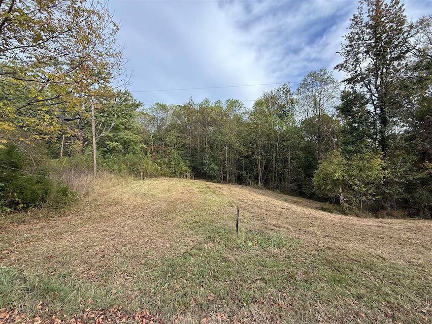 0 Cool Springs Rd unit RA20256983, Morgantown, KY 42261 - photo 1