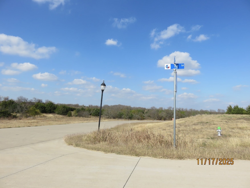 Lot 8B Ty Ln, Princeton, TX 75407 - photo 1
