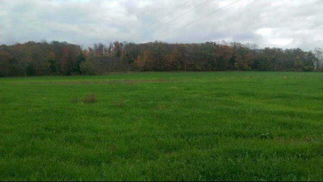 Lots 3&4 Parragon Rd, Cookeville, TN 38506 - photo 1