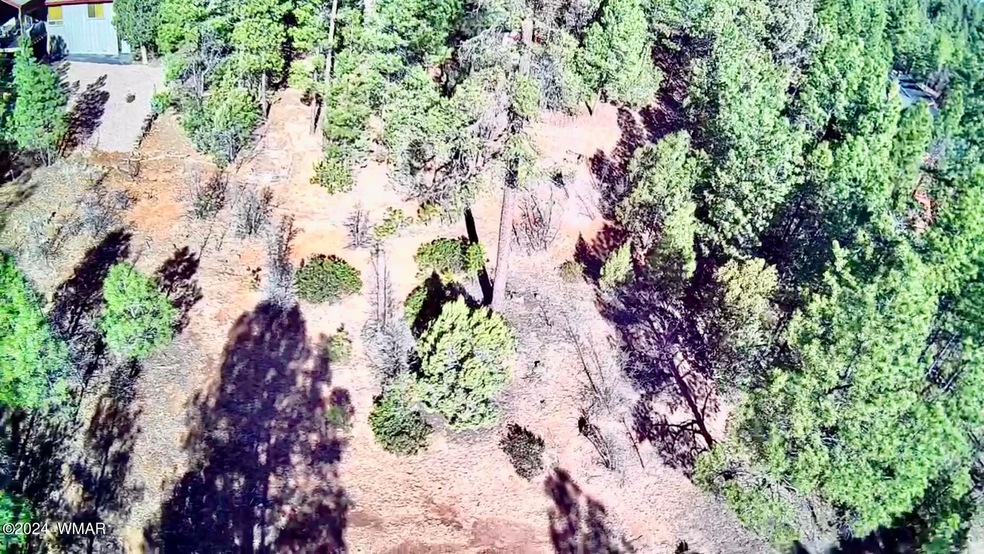 1680 S Iris Ln, Show Low, AZ 85901 - photo 1