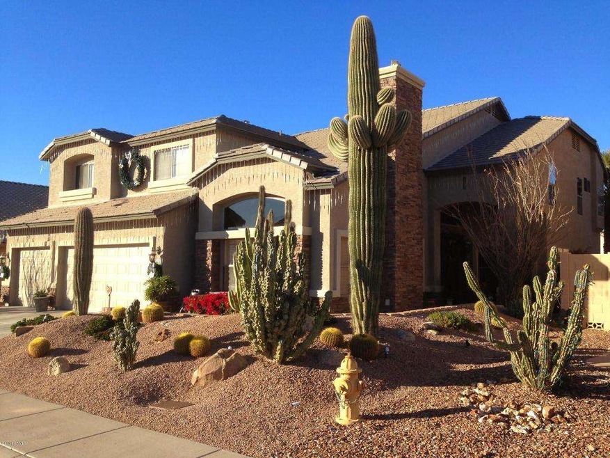 Front Yard