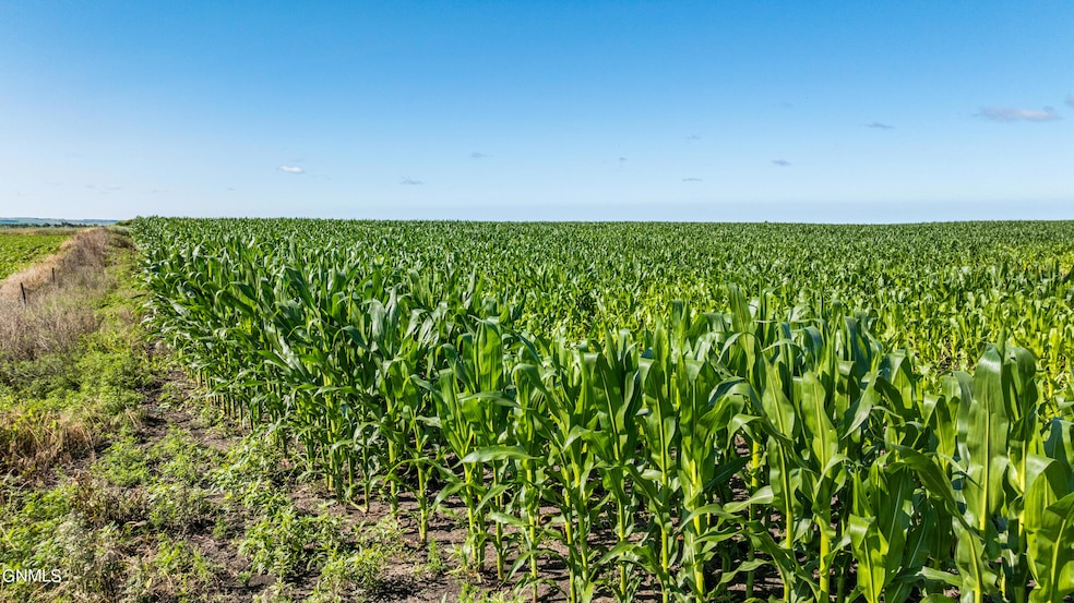 TBD 94th St SE, Rutland, ND 58067 - photo 1