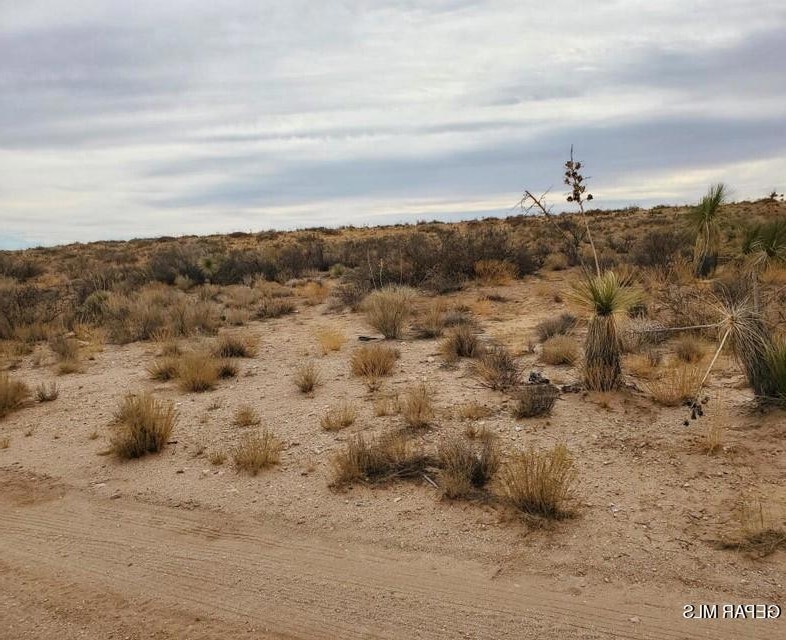 PN 89207 Lima Dr, Clint, TX 79938 - photo 1