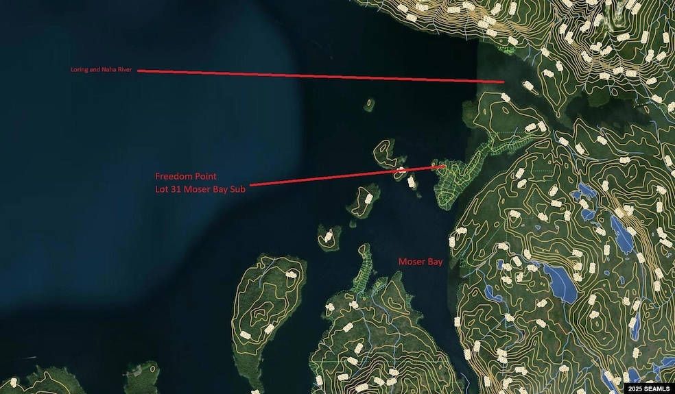 0 N Legal Address Only unit Long Arm - Moser Bay, Ketchikan, AK 99901 - photo 1