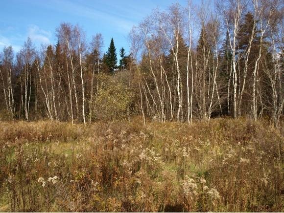 0 Searles Rd unit 4323819, Troy, VT 05859 - photo 1