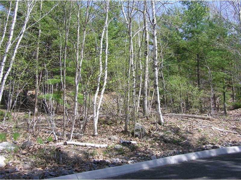 Land/Lot. Huge beautiful lot rises...