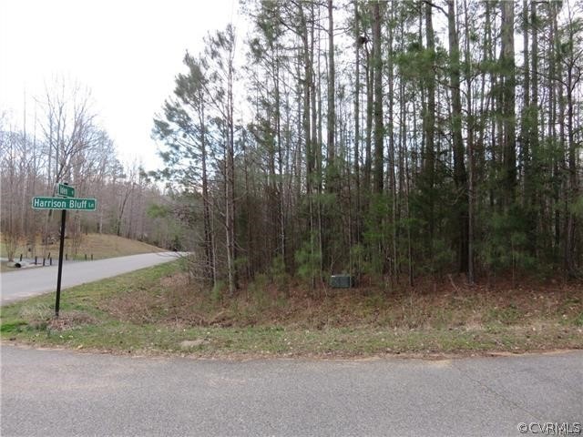 7001 Iden Place, Quinton, VA 23141 - photo 1