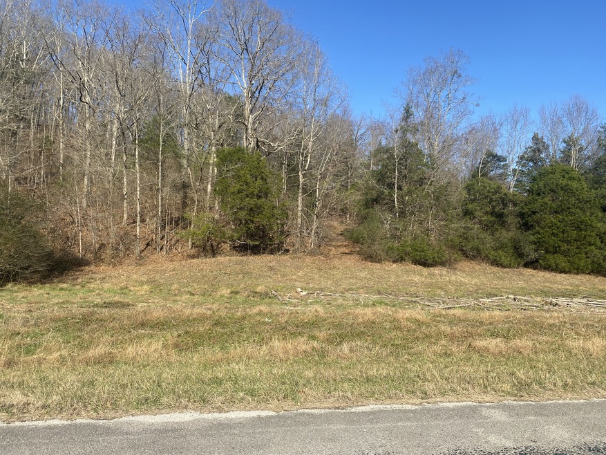 0 Scenic Dr unit RTC3059700, Pulaski, TN 38478 - photo 1
