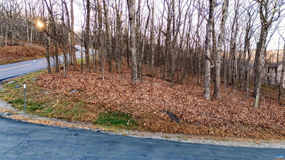 23 Rock Tree Ln unit 125 PEDLARS EDGE SUB, Roseland, VA 22967 - photo 1