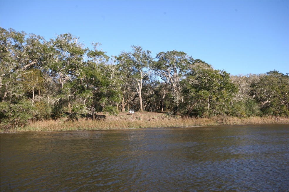 3745 Farm To Market 2611, Brazoria, TX 77422 - photo 1