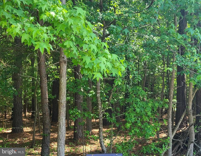 0 Rock Point Rd unit MDCH2039770, Newburg, MD 20664 - photo 1