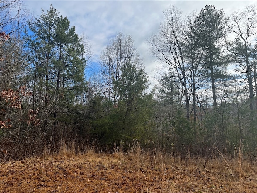 View from Davidian Way side of the 3.41 acre