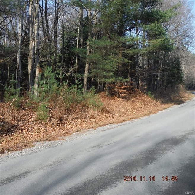Road view