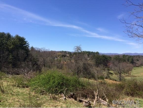 unlisted-address, Leicester, NC 28806 - photo 1