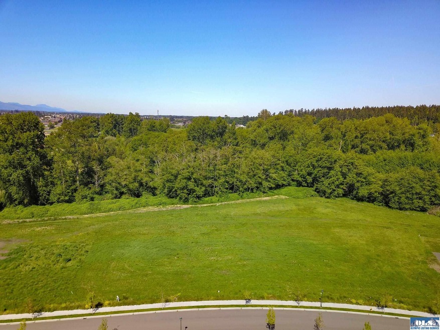 371 Broadmoor St, Sequim, WA 98382 - photo 1