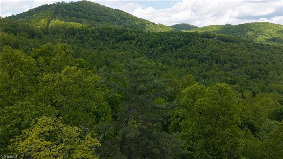 0 Cove Gap Rd unit Offering 2 1196059, Moravian Falls, NC 28654 - photo 1