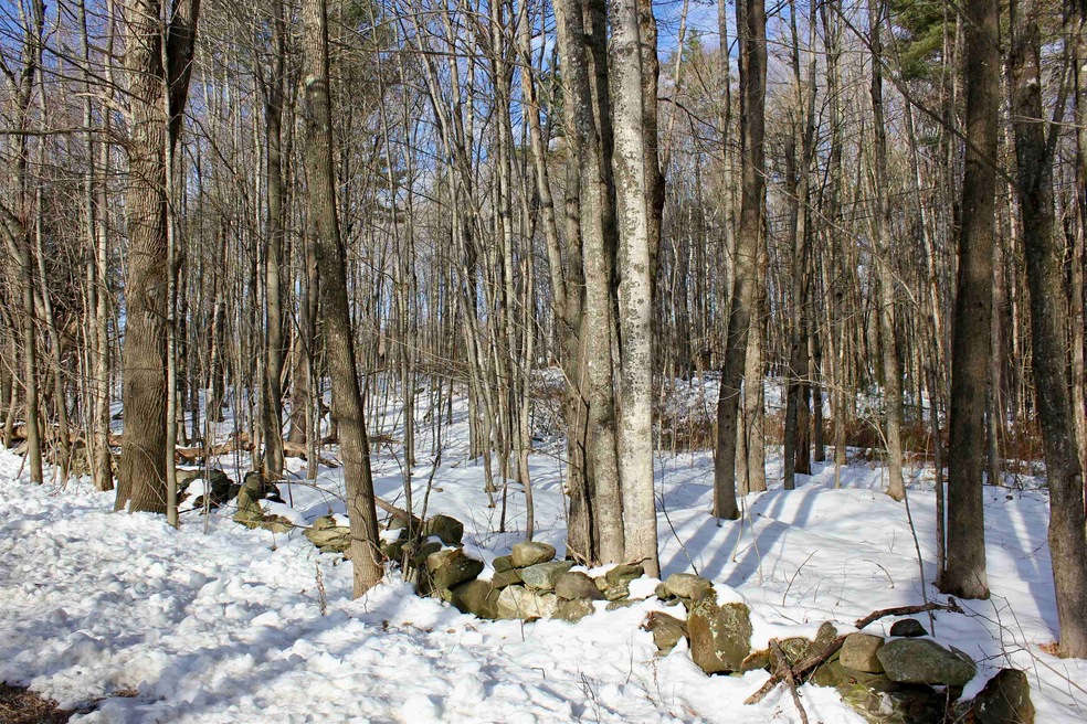 00 Tyson Rd, Reading, VT 05062 - photo 1