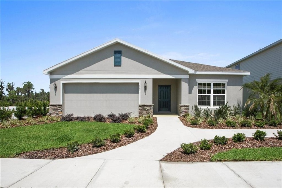 10223 Hawks Landing Dr, Land O' Lakes, FL 34638 - photo 1