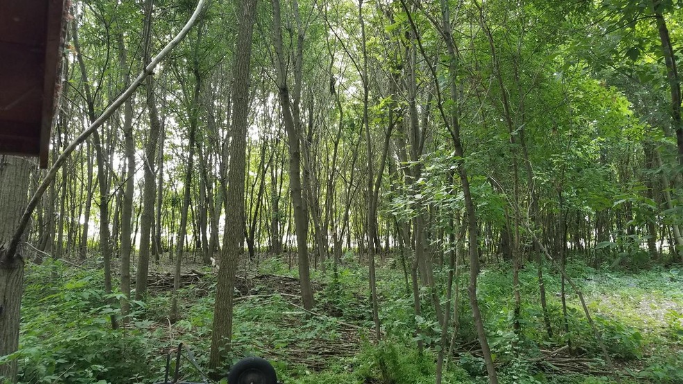 20190623_094300