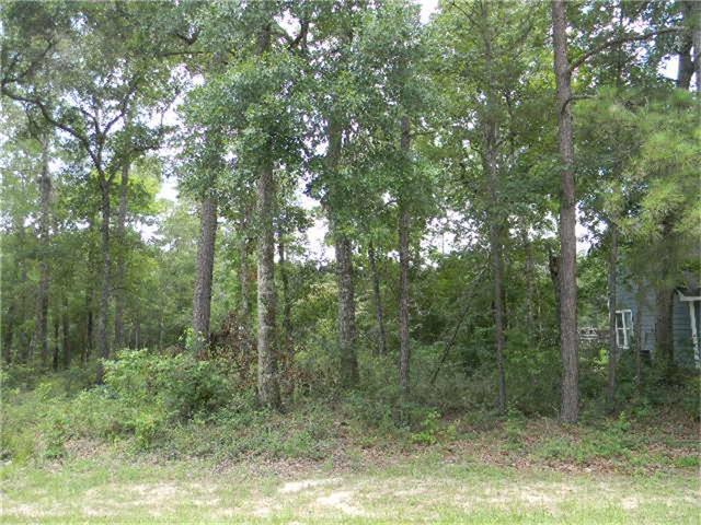 0 Woods Ln, Cleveland, TX 77328 - photo 1