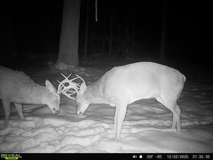 9720 Airport Rd, Beardstown, IL 62618 - photo 1