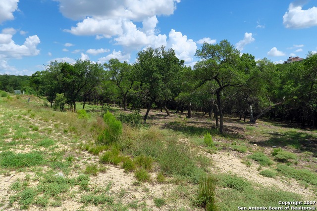 20331 Bobwhite Run, San Antonio, TX 78256 - photo 1