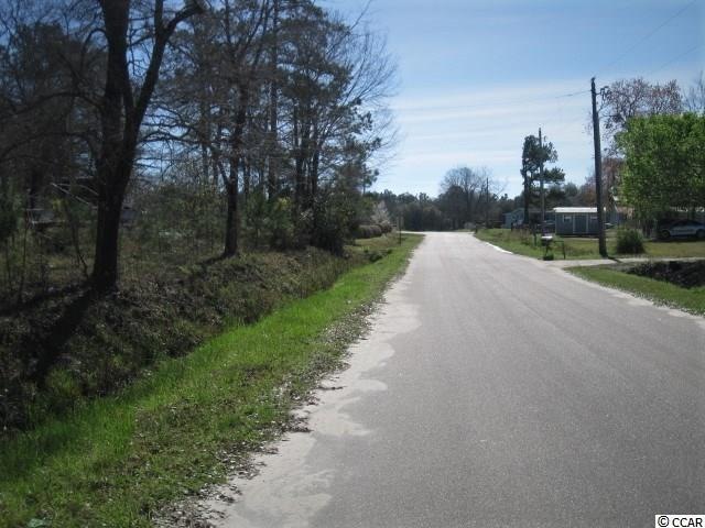 TBD Lighthouse Church Rd, Conway, SC 29526 - photo 1