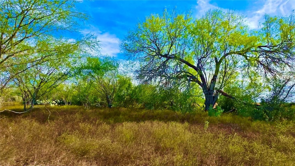 0 0 County Road 107 unit 468634, Runge, TX 78151 - photo 1