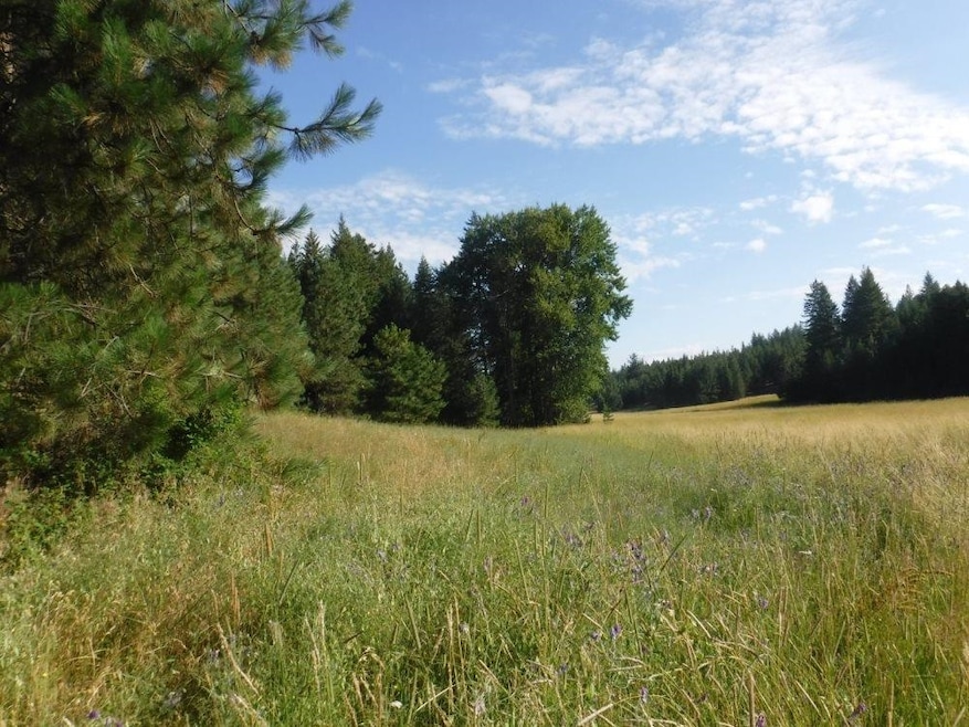 Lot 1 SW Moose Ridge Way, Loon Lake, WA 99148 - photo 1