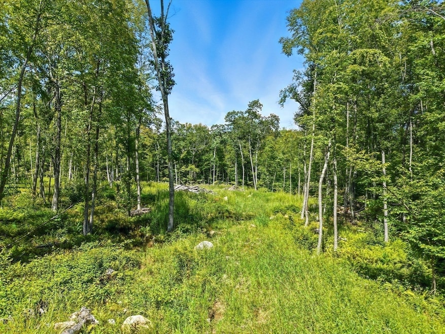 25 Milk St, Blackstone, MA 01504 - photo 1