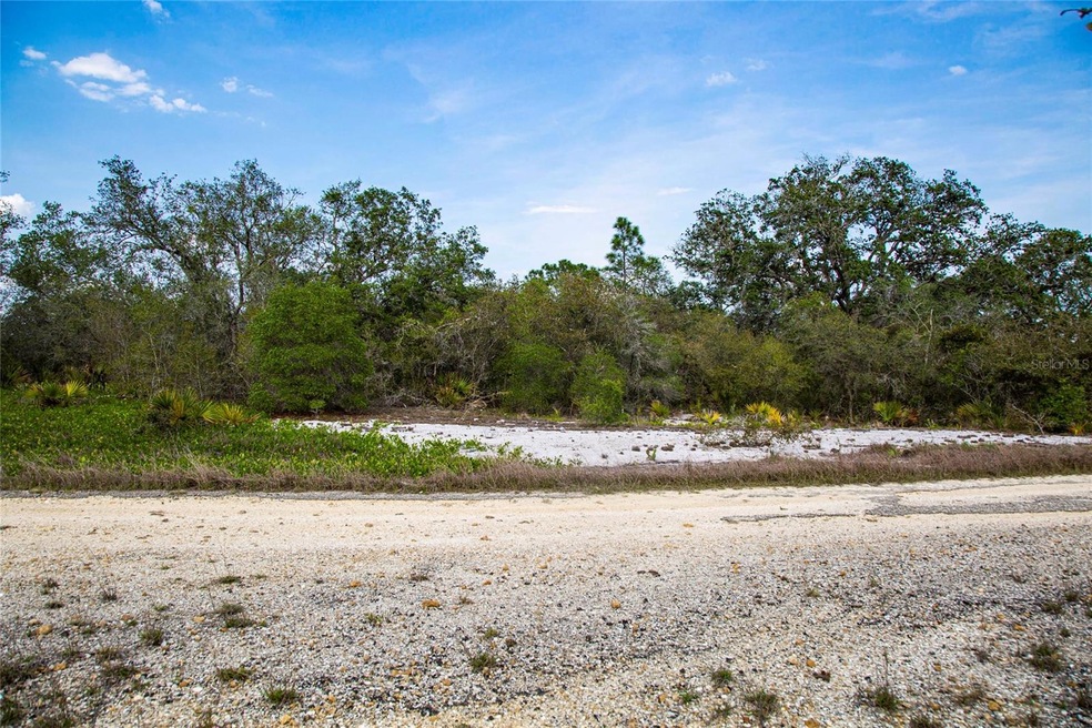 239 Crystal Lake Dr, Lake Placid, FL 33852 - photo 1