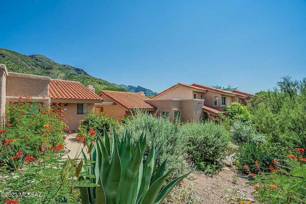 7601 N Calle Sin Envidia #46