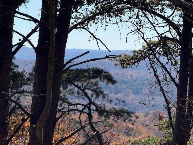 0 John Call Rd unit 7683545, Talking Rock, GA 30175 - photo 1