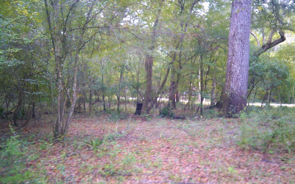 2227 SW Santa fe Dr, Fort White, FL 32038 - photo 1