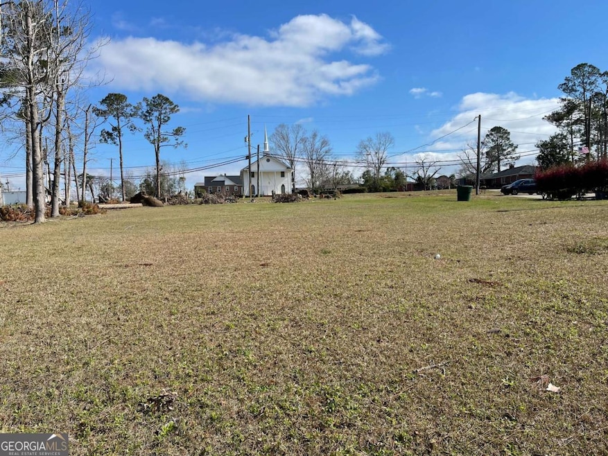 0 E Spring St, Mount Vernon, GA 30445 - photo 1