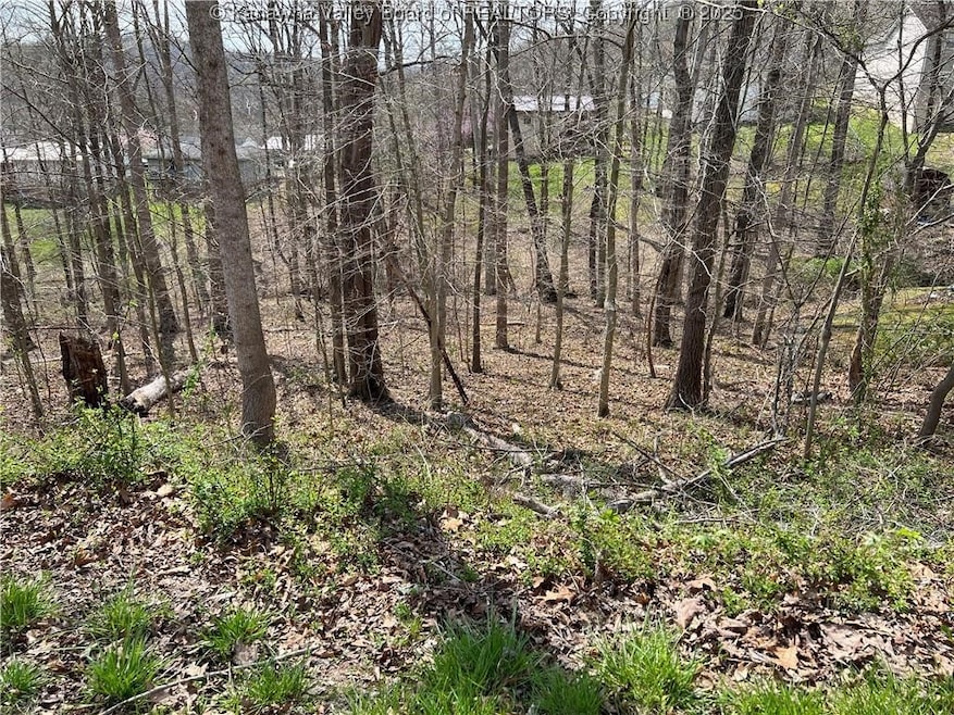 1189 Hillcrest Dr, Saint Albans, WV 25177 - photo 1