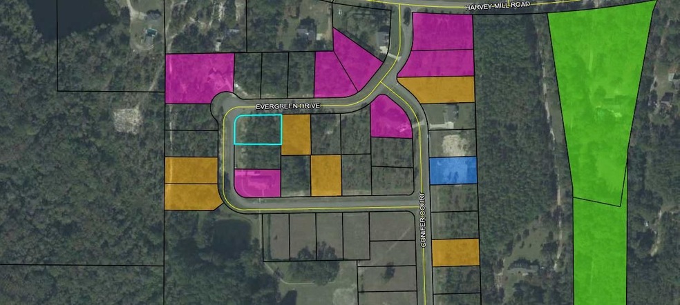 0 Evergreen Dr unit 303191, Crawfordville, FL 32327 - photo 1