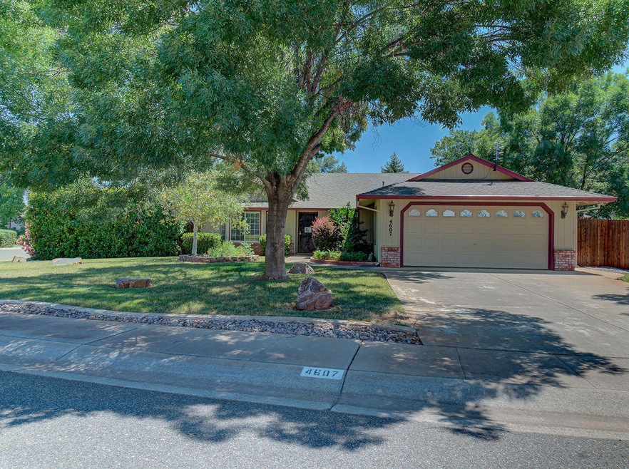 4607 Fiddleneck d