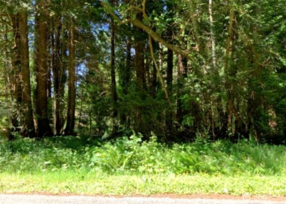 47 Claire Ln, Point Roberts, WA 98281 - photo 1