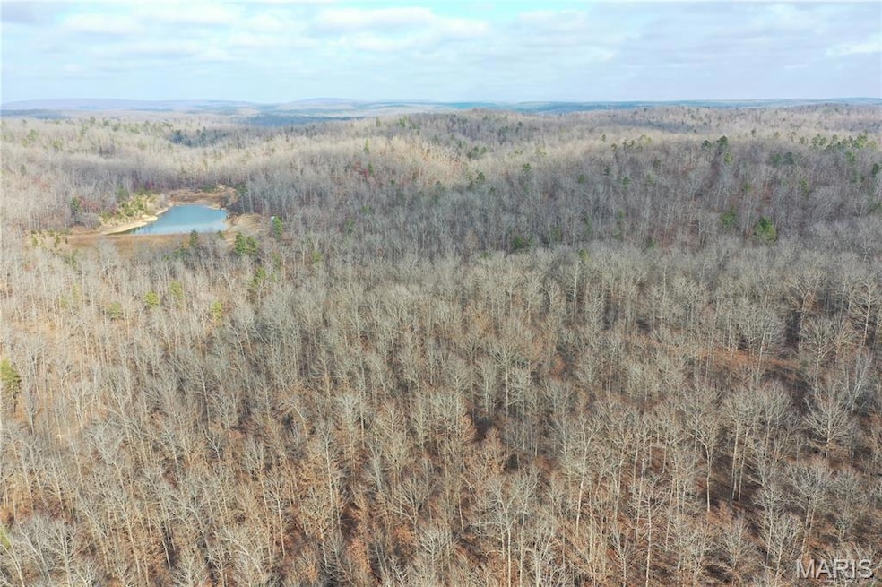 TBD County Road 118, Annapolis, MO 63620 - photo 1