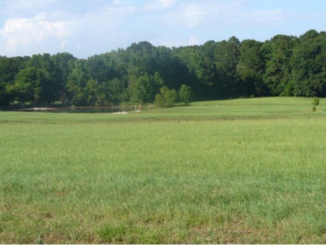 0 Cr 915 Lot 7, Nacogdoches, TX 75964 - photo 1