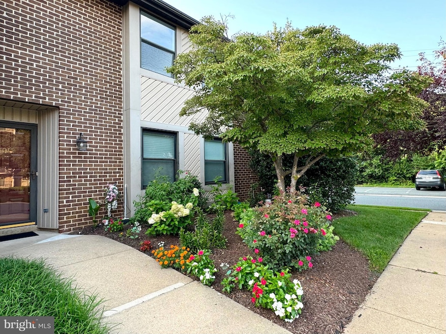 For Rent $2,300/month